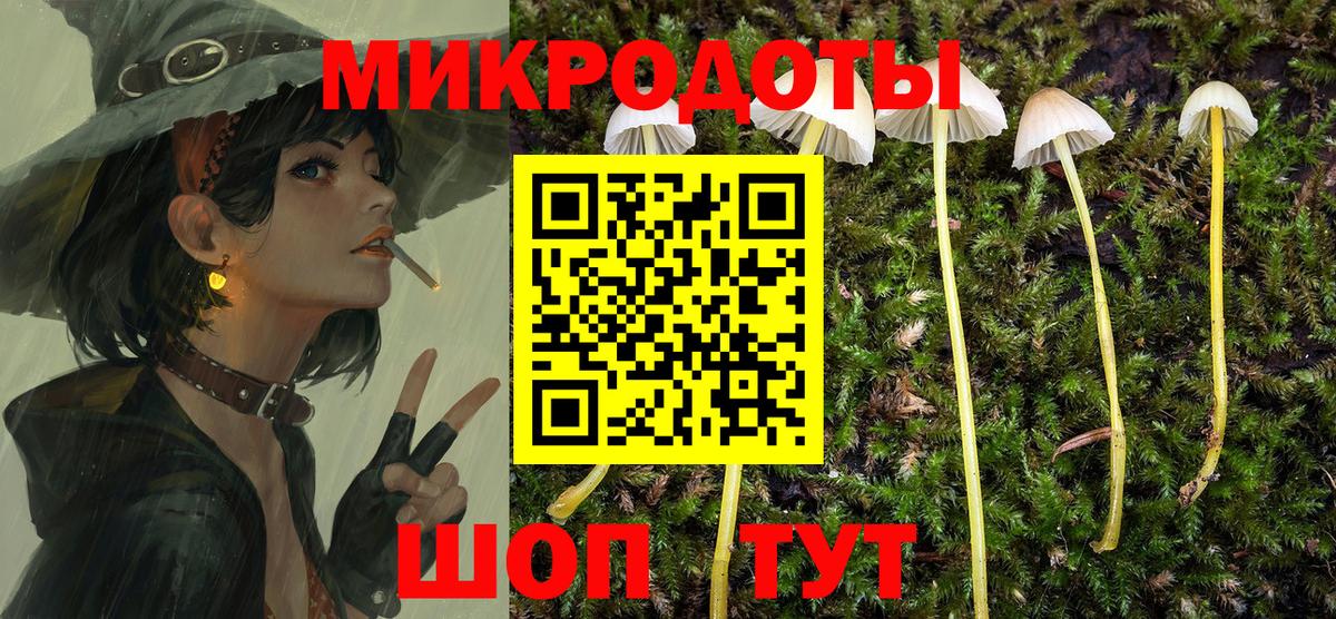 Галлюциногенные грибы Cubensis  Галлюциногенные грибы Psilocybine cubensis  Зеленокумск  Вход с VPN 
